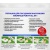 Капсулы для посудомоечных машин MAUNFELD Purity MDP1000G Капсулы для посудомоечных машин MAUNFELD Purity MDP1000G