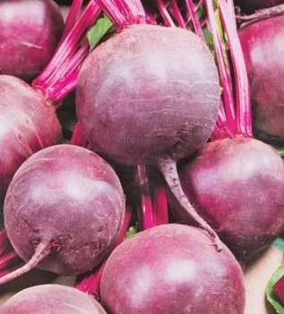 Свекла Фалькон F1, 1 г ФРАНЦИЯ  Агромаркет