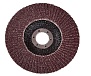 Круг лепестковый 125х22мм КЛТ1, NW COARSE