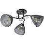 Светильник потолочный НПБ 02-3x60-101 хром Aitin-Pro 6122/3