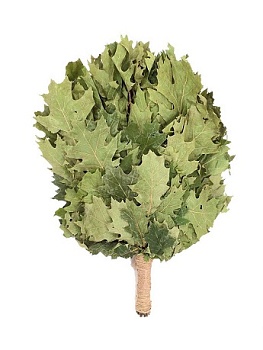 Веник банный дубовый