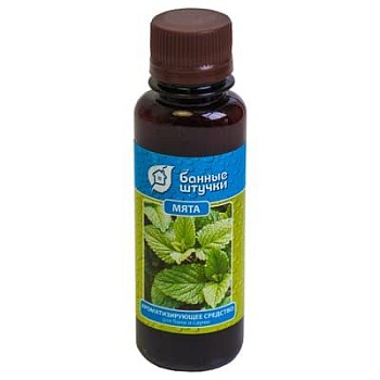 Ароматизатор Мята, 120 мл, Банные штучки