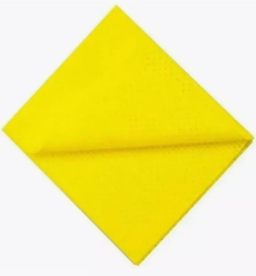 Салфетки универсальные для уборки 30x34 см (3 шт), вискоза, Master FRESH