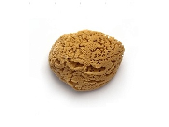 Губка натуральная морская большая 18 см, STMDECOR M86