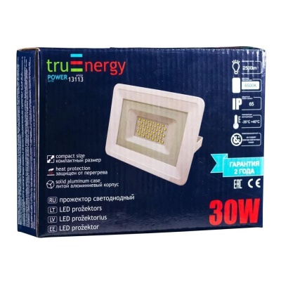Прожектор светодиодный 30W, 6500К, белый, 13113, Truenergy