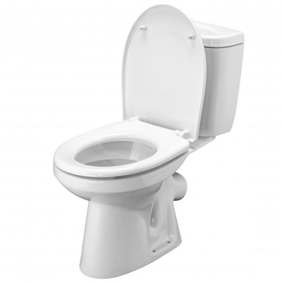 Унитаз-компакт Анимо напольный Santek