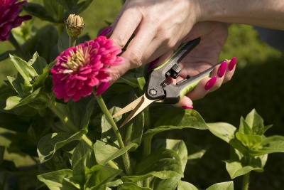 Ножницы садовые TITANIUM 1382 Центроинструмент