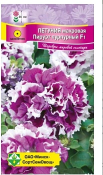 Петуния гибридная махровая Пируэт пурпурный F1 МинскСортСемОвощ