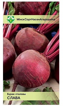 Свекла Слава столовая 2г МинскСортСемОвощ