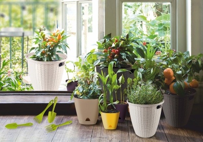 Горшок для цветов 2,5 л морозная слива AMSTERDAM ING6200 МС INGREEN