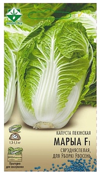 Капуста пекинская Маррио F1 12шт (Эксперт) МинскСортСемОвощ