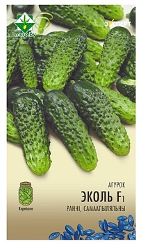 Огурец Эколь F1 10шт (Эксперт) МинскСортСемОвощ