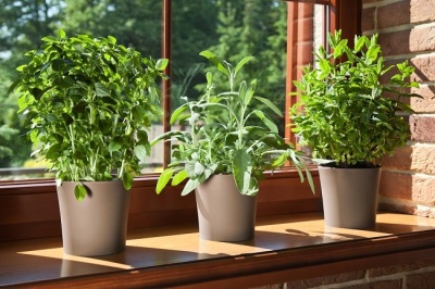 Кашпо для цветов пластмассовое фуксия 19x17,6 см Фиалка LA389-80 Lamela