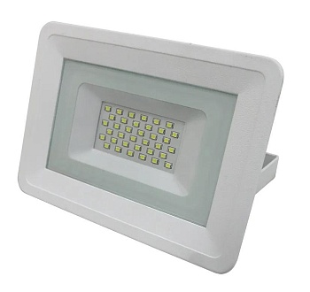 Прожектор светодиодный 30W, 6500К, белый, 13113, Truenergy