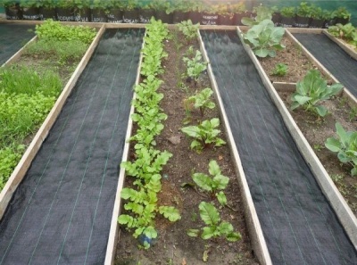 Агроткань полипропиленовая для дорожек 100г/м2 UV черная 0.6 м