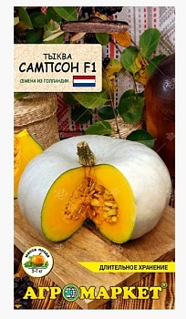 Тыква Сампсон F1, 5шт Агромаркет