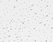 Плита потолочная AMF PLANET, 120*60мм