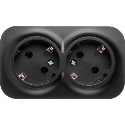 Розетка 2-ая Bailly с заземлением LEIDEN ELECTRIC (черный)