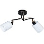 Светильник потолочный Aitin-Pro НПБ 02-2x40-101 51171/2 чёрный