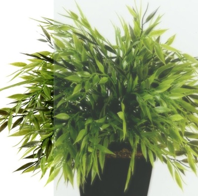 Душевая кабина Triton Нова А 88x88