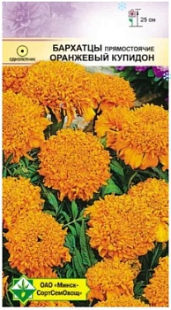 Бархатцы прям Оранжевый Купидон 0.3г МинскСортСемОвощ