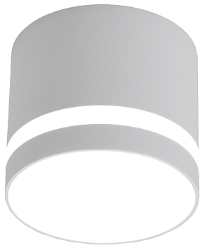 Светильник накладной точечный Truenergy 21015