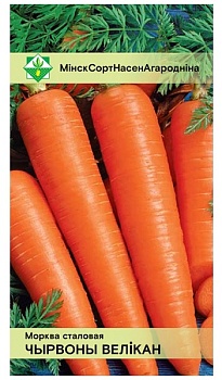 Морковь Красный великан столовая 1.5г МинскСортСемОвощ