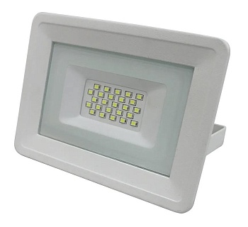 Прожектор светодиодный 20W, 6500К, белый, 13112, Truenergy