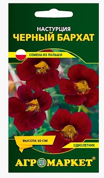 Настурция Черный бархат, 8 шт Агромаркет