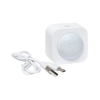Умный датчик движения Zigbee Wi-Fi Connect EKF is-pir-zb-1