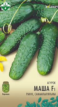 Огурец Маша F1 7шт (Эксперт) МинскСортСемОвощ
