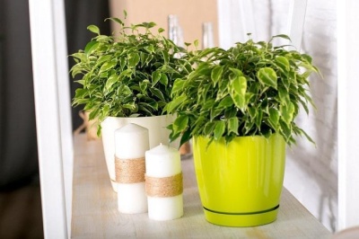 Горшок для цветов пластмассовый 2 л лиловый Фрезия 1 GARDENPLAST