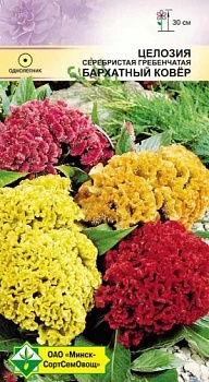 Целозия гребенчатая Бархатный ковер см 0.2г МинскСортСемОвощ