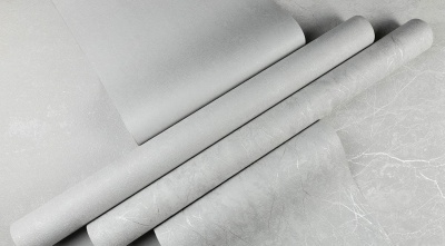 Обои виниловые на бумажной основе 0.53x10.05м Теодора 10144-14 Аспект