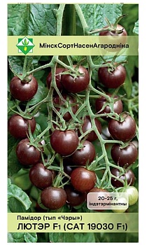 Томат Лютер F1 7шт (САТ 19030) МинскСортСемОвощ