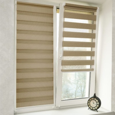 Штора рулонная СРШ-01МК-41606 день-ночь Delfa