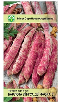 Фасоль Борлотто Лингуа ди Фуоко 3 (зерновая) 10 шт МинскСортСемОвощ