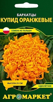 Бархатцы прямостоячие Купид оранжевые, 0.5г