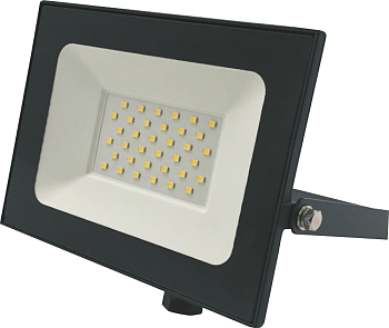 Прожектор светодиодный 30W, 6500К, черный, 13014, Truenergy