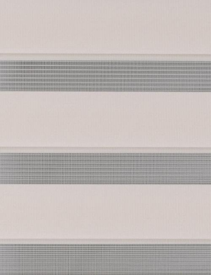 Штора рулонная СРШ-01МК-41021 день-ночь Delfa