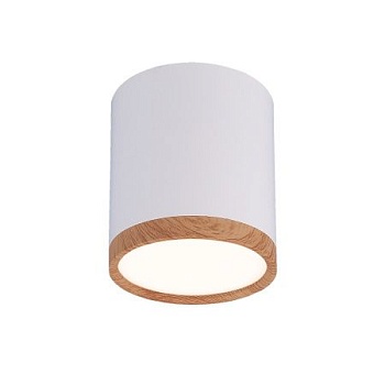 Светильник накладной потолочный светодиодный DLR024 6W 4200K белый матовый/светлый дуб ELEKTROSTANDARD