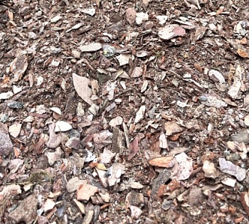 Кора сосны мульча для растений 0-2см 50л