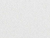 Плита потолочная AMF THERMACLEAN, 60*60мм