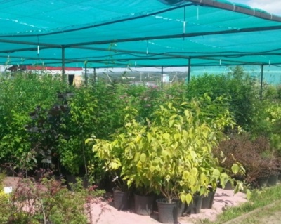 Сетка фасадная 2x20м темно-зеленая 55 г/м2 ХОЗАГРО