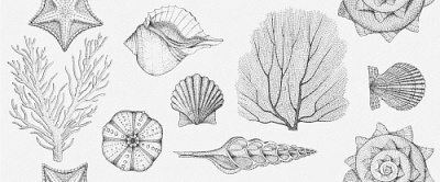 Плитка облицовочная Aqua White Wall 01 250х600мм Gracia Ceramica