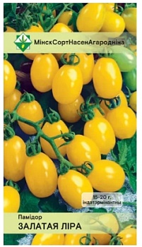 Томат Золотая лира (тип 