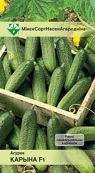 Огурец Коринна F1 10шт МинскСортСемОвощ