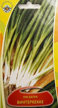Лук батун Винтерхекке, ИП СЕМЕНА