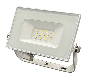 Прожектор светодиодный 10W, 6500К, белый, 13010, Truenergy