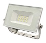 Прожектор светодиодный 10W, 6500К, белый, 13010, Truenergy